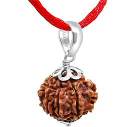 Nugwale - Saat Mukhi Nepali Rudraksha