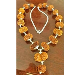 Nugwale - Real Genuine Nepal Sarva Sidha Rudraksha Mala