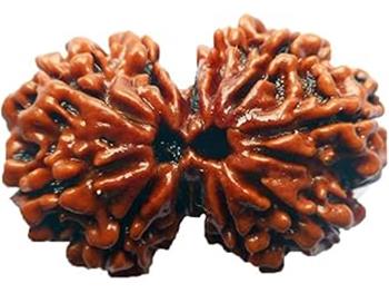 Gauri Shankar Rudraksh